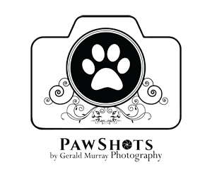 PawShots by Gerald Murray Photography