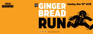 Gingerbread 18